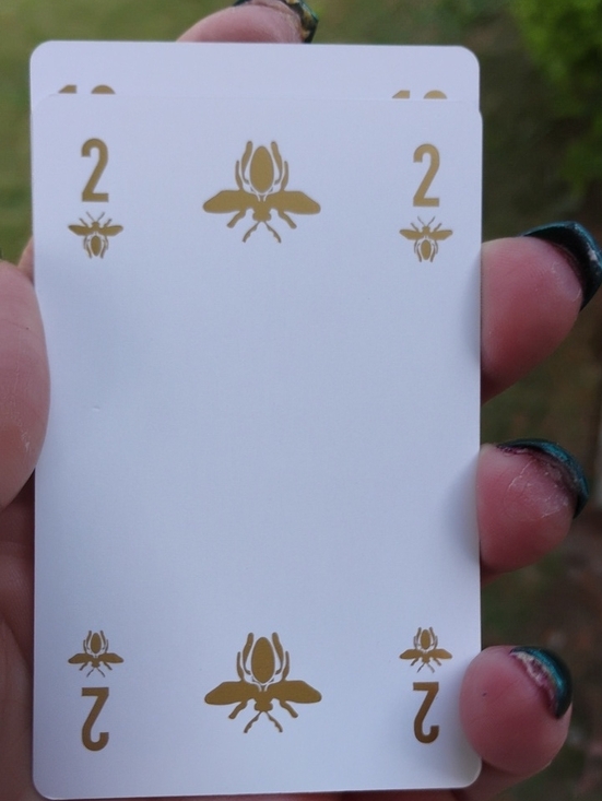 Handbags - Dior 2 bee 🐝 collectors card in a magnetic case